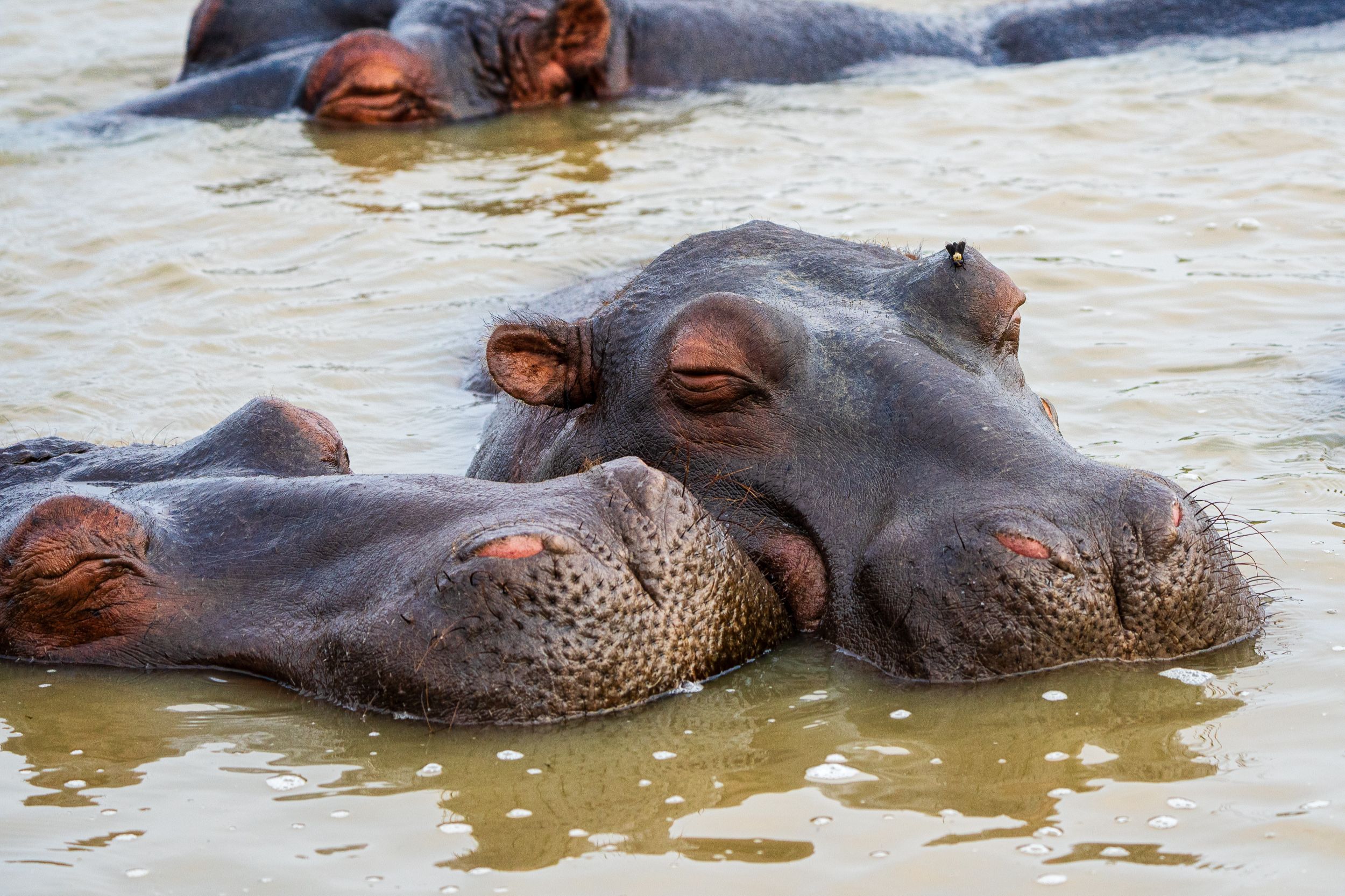 20230924 163144 Fotobuch Südafrika 03968